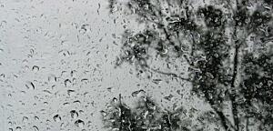 ホーチミン 天気 : 観光するのにいい時期はいつ?